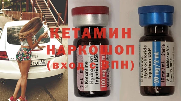 шишки Пересвет